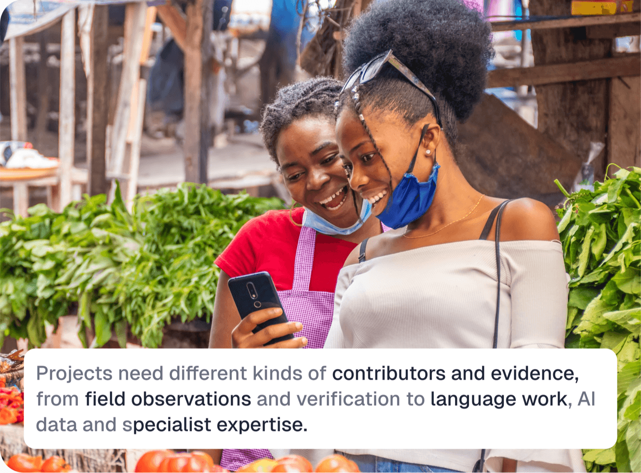 Contributors in a market. Projects need different kinds of contributors and evidence, from field observations and verification to language work, AI data and specialist expertise.